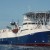 Bergen Oilfield Services Bergen Oilfield Services