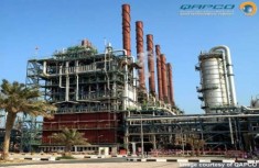 Qapco_petrochemical_plant_Qatar