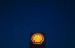 Shell_oil_gas_logo