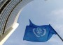 IAEA_Office